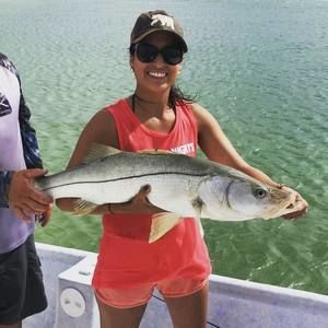 Meet your Posher, Enith